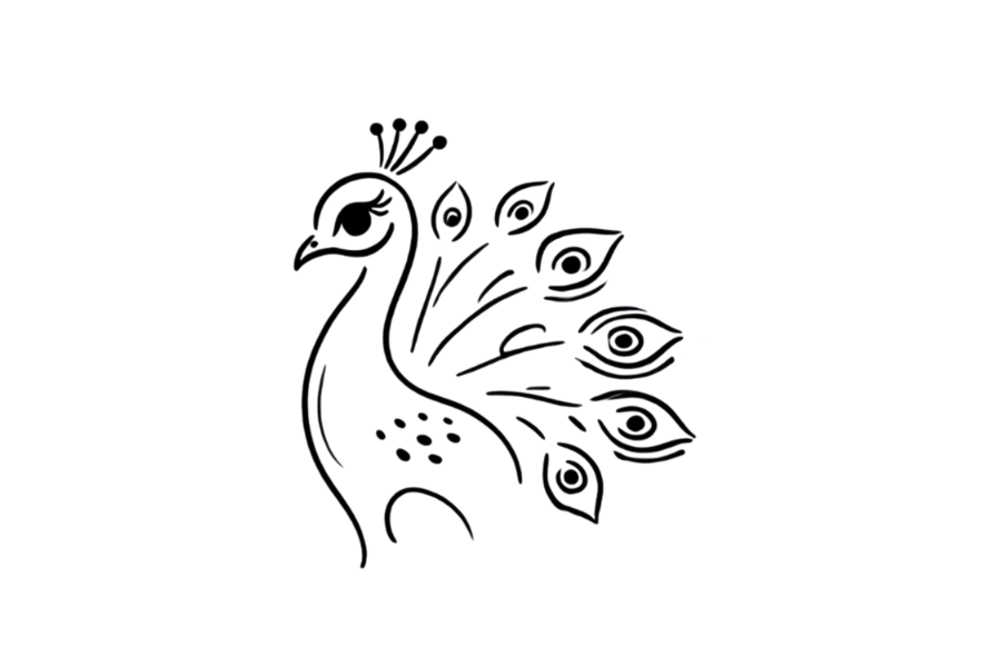 Peacock doodle tracing base (lower opacity)