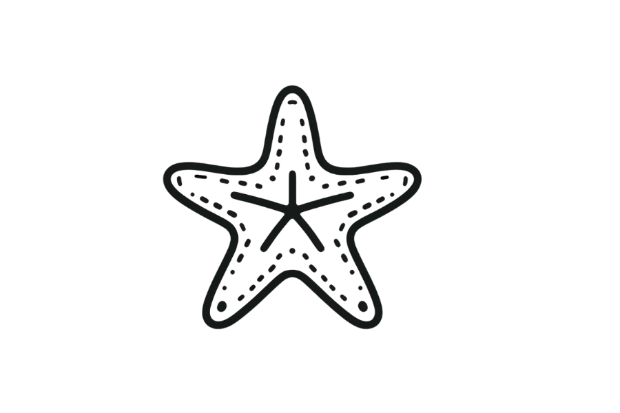 Starfish doodle tracing base (lower opacity)