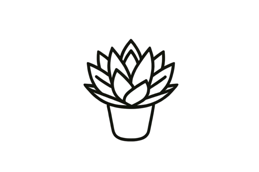 Succulent doodle tracing base (lower opacity)